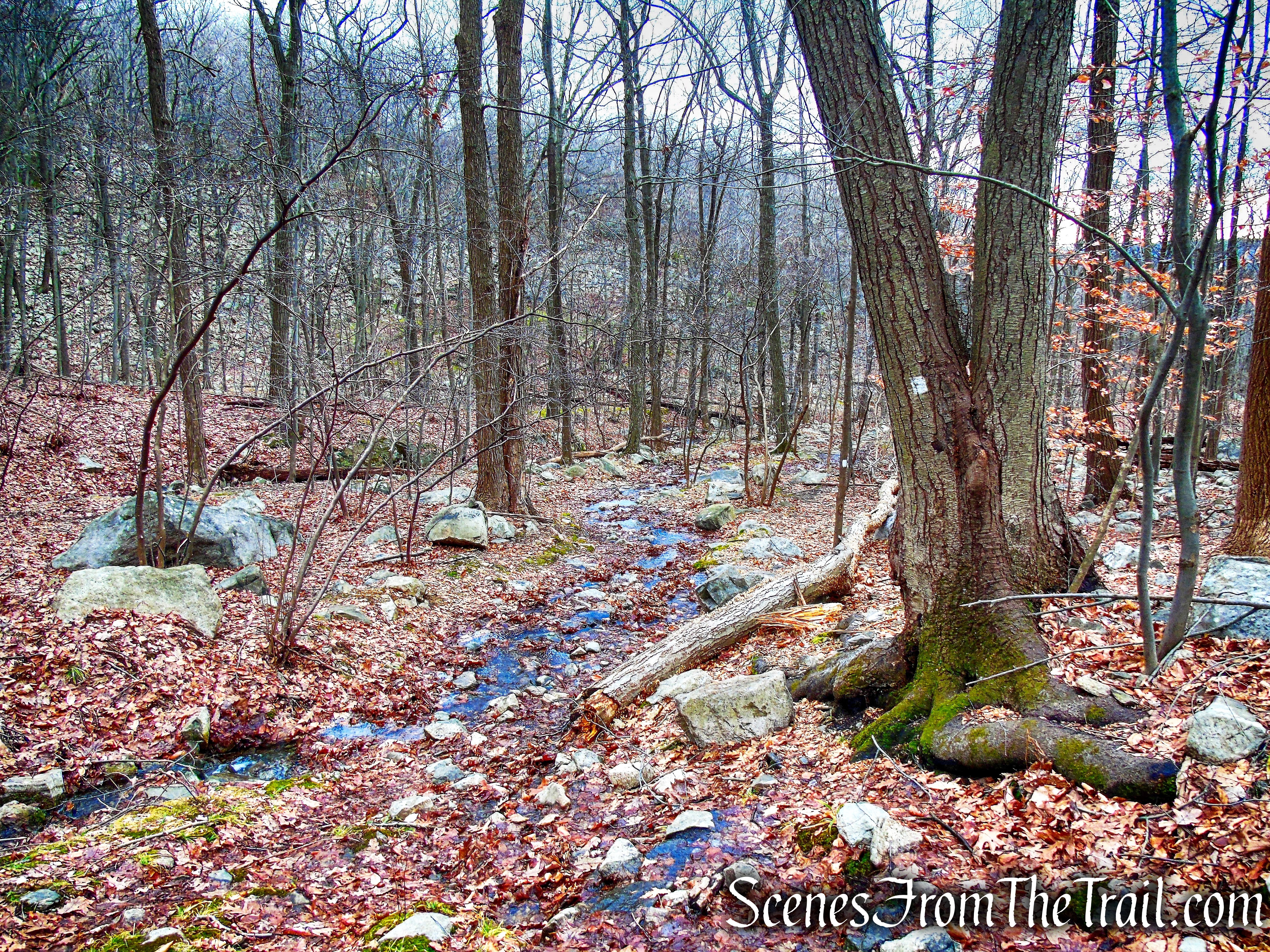 Kakiat Trail - Kakiat County Park