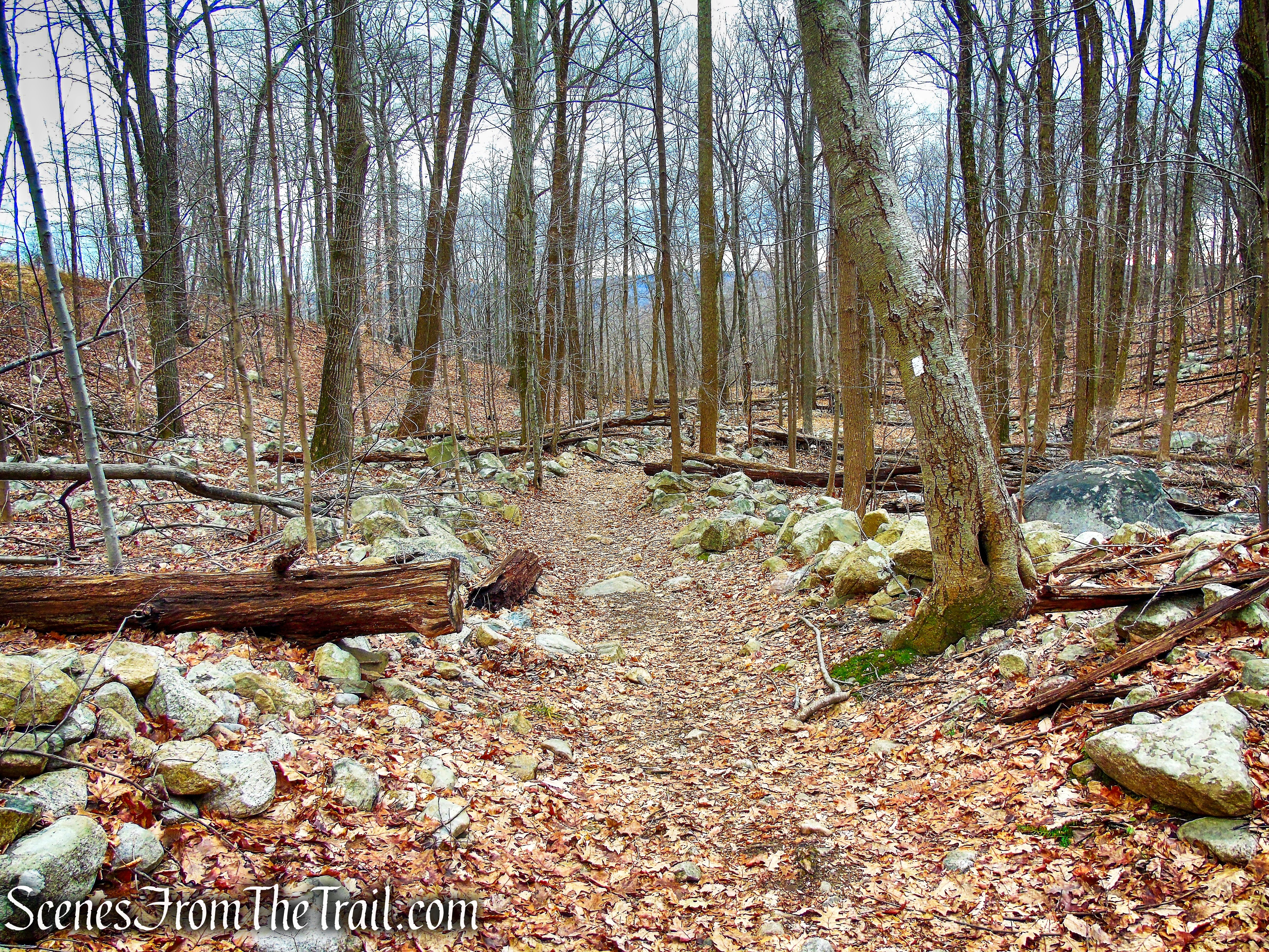 Kakiat Trail - Kakiat County Park