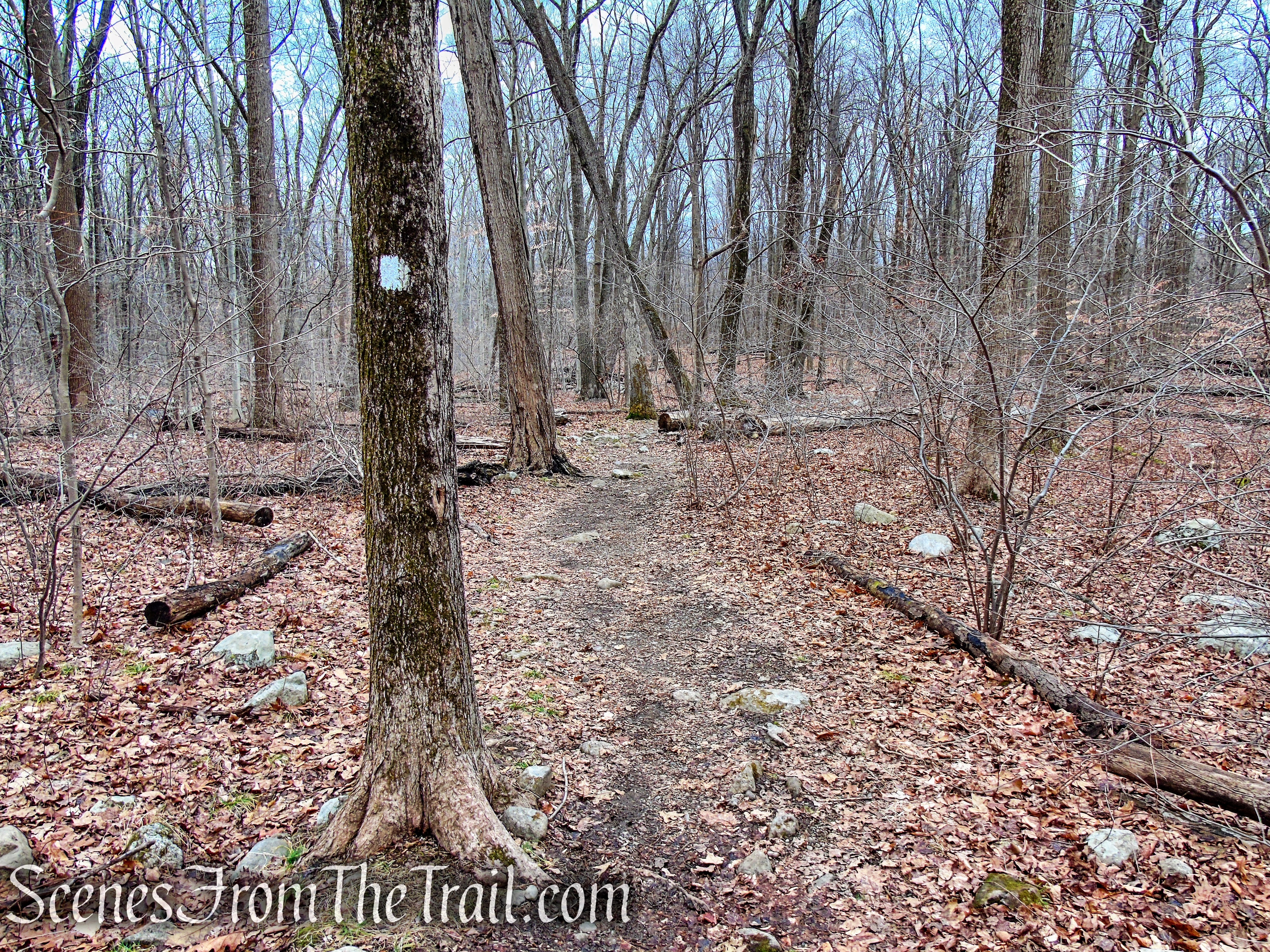 Kakiat Trail - Kakiat County Park