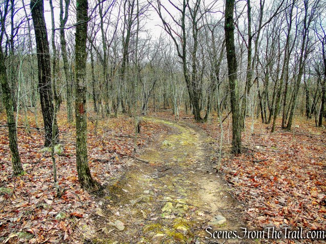 Red Trail - South Mountain