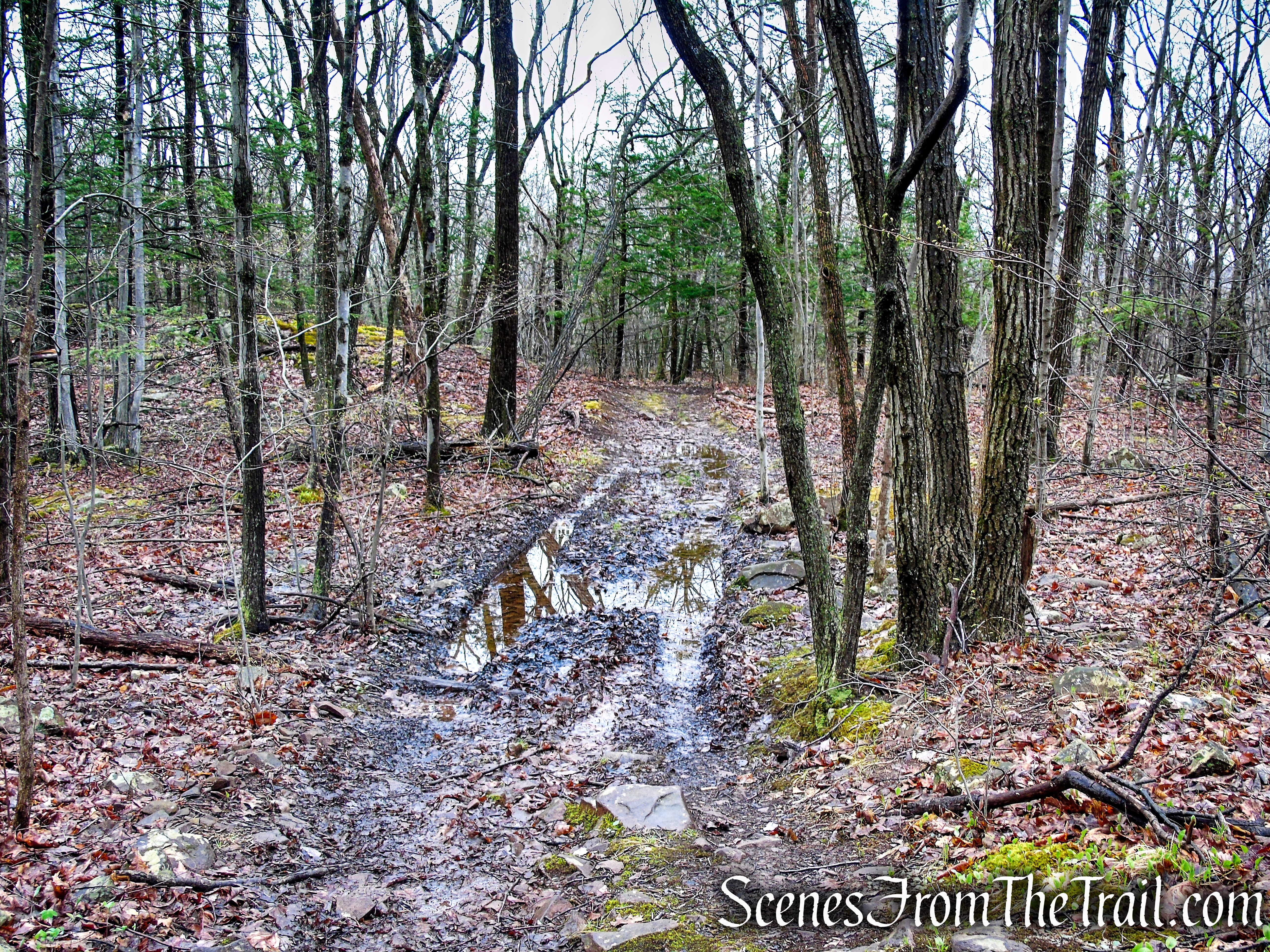 Metacomet Trail - South Mountain