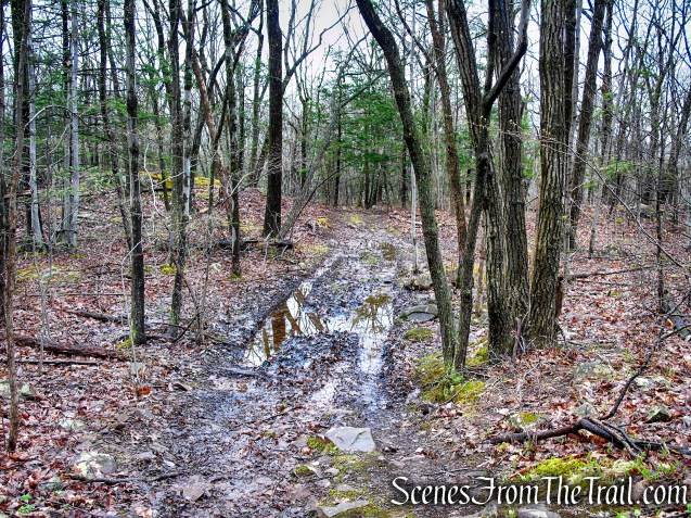 Metacomet Trail - South Mountain