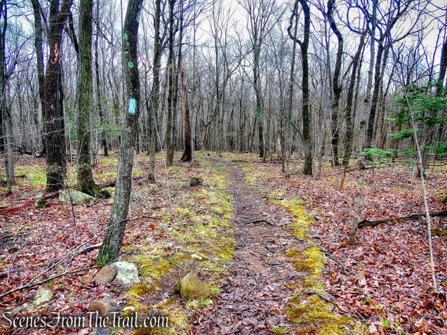 Metacomet Trail - South Mountain
