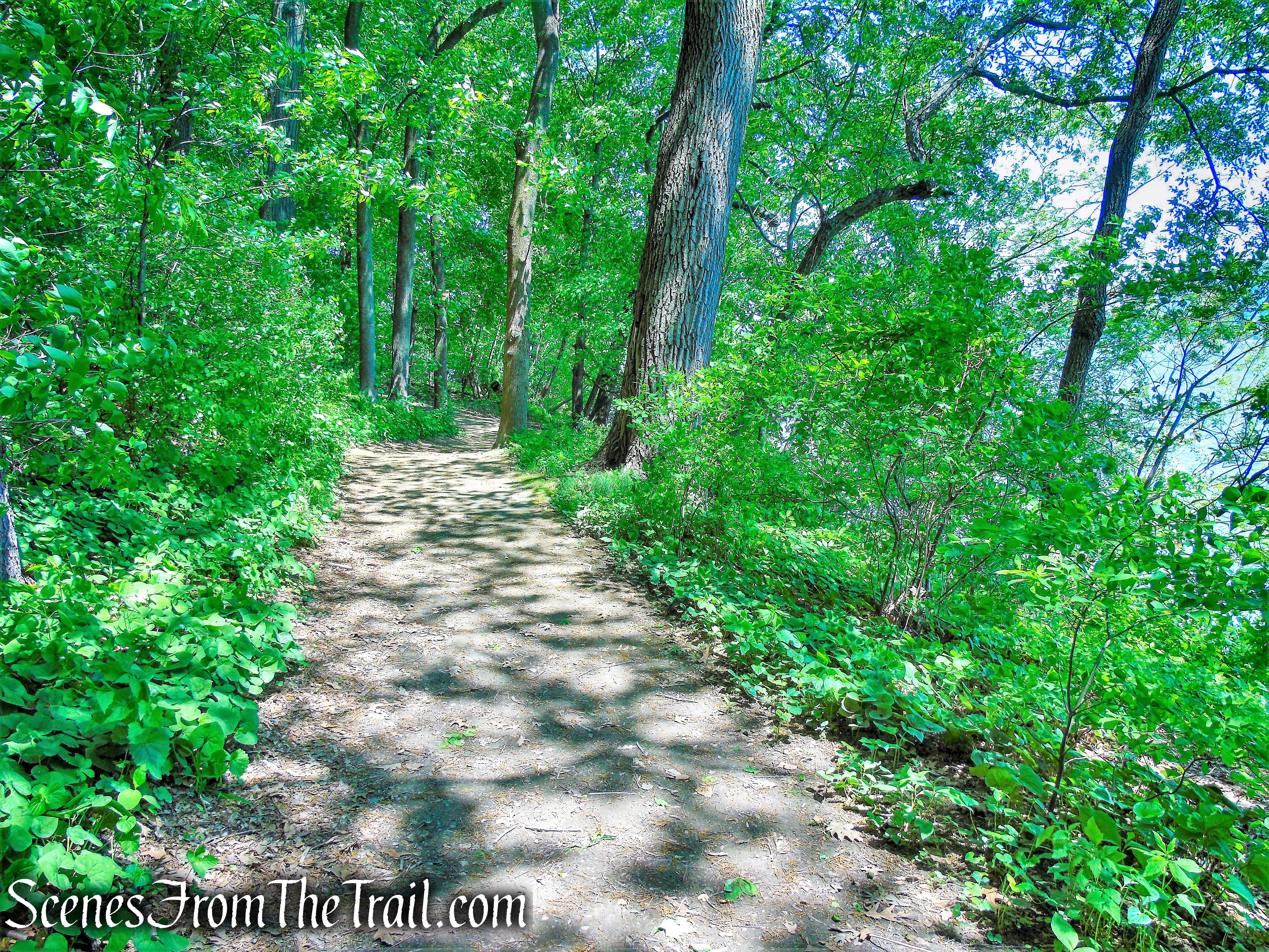 Kowawese Unique Area at Plum Point