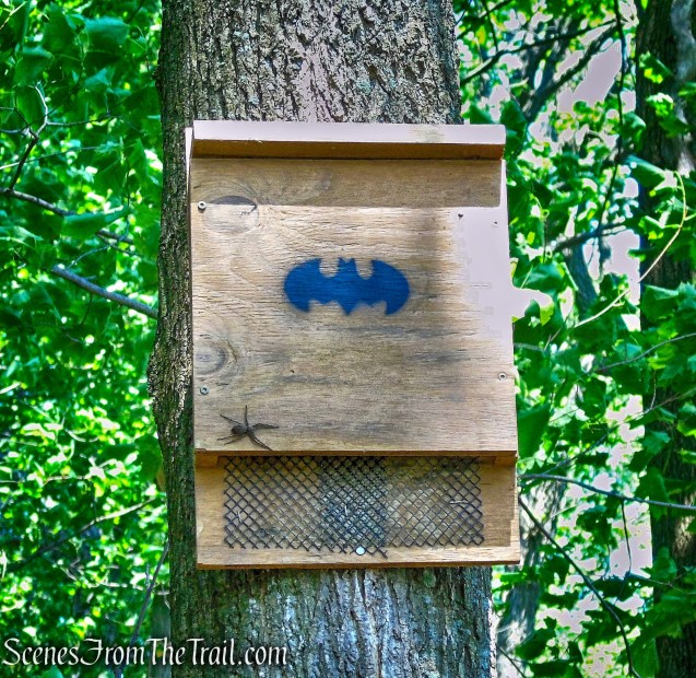 Kowawese Unique Area at Plum Point