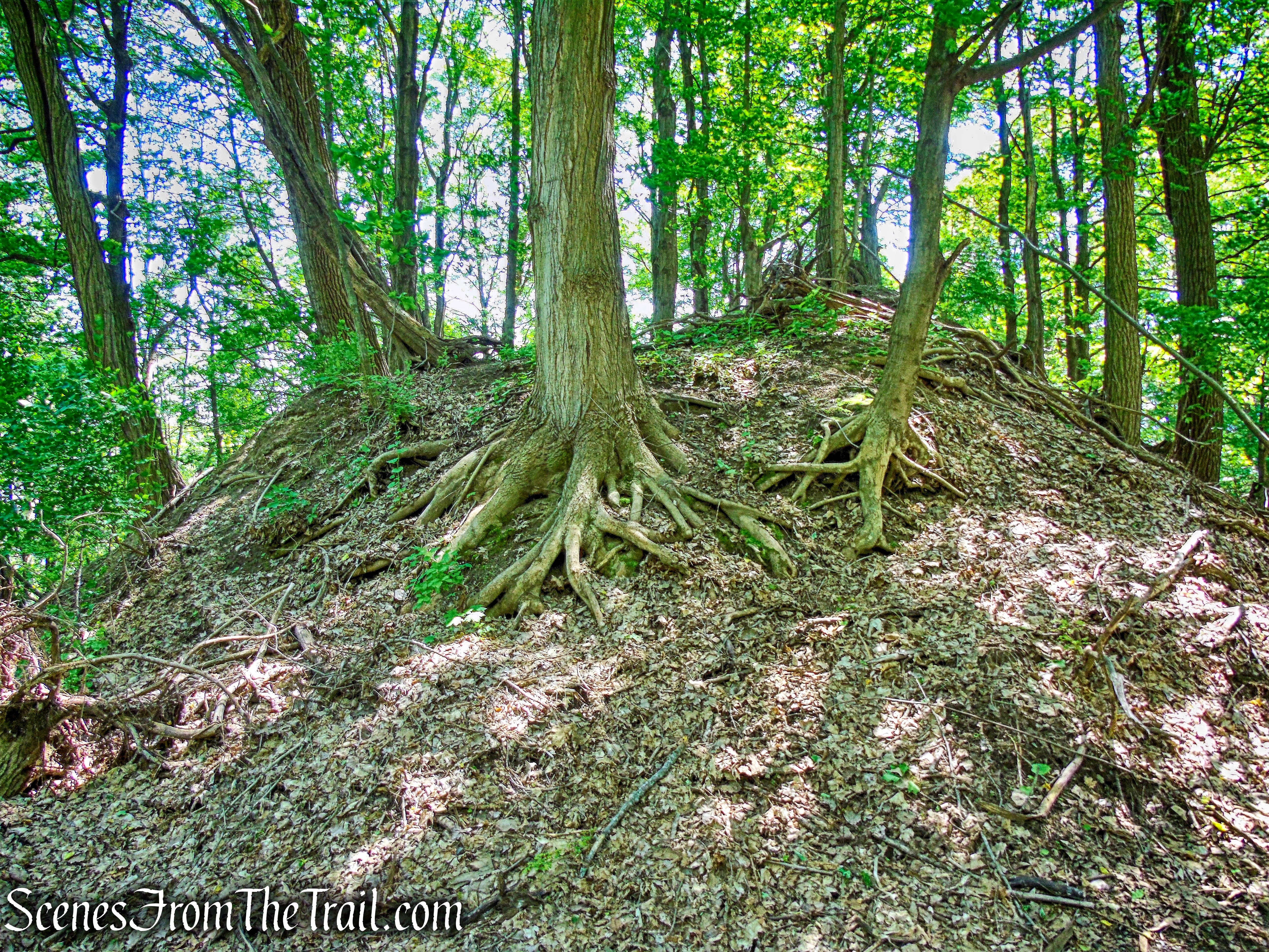 Kowawese Unique Area at Plum Point