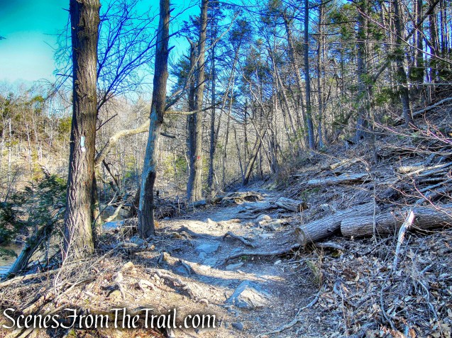 Quinnipiac Trail - Sleeping Giant State Park