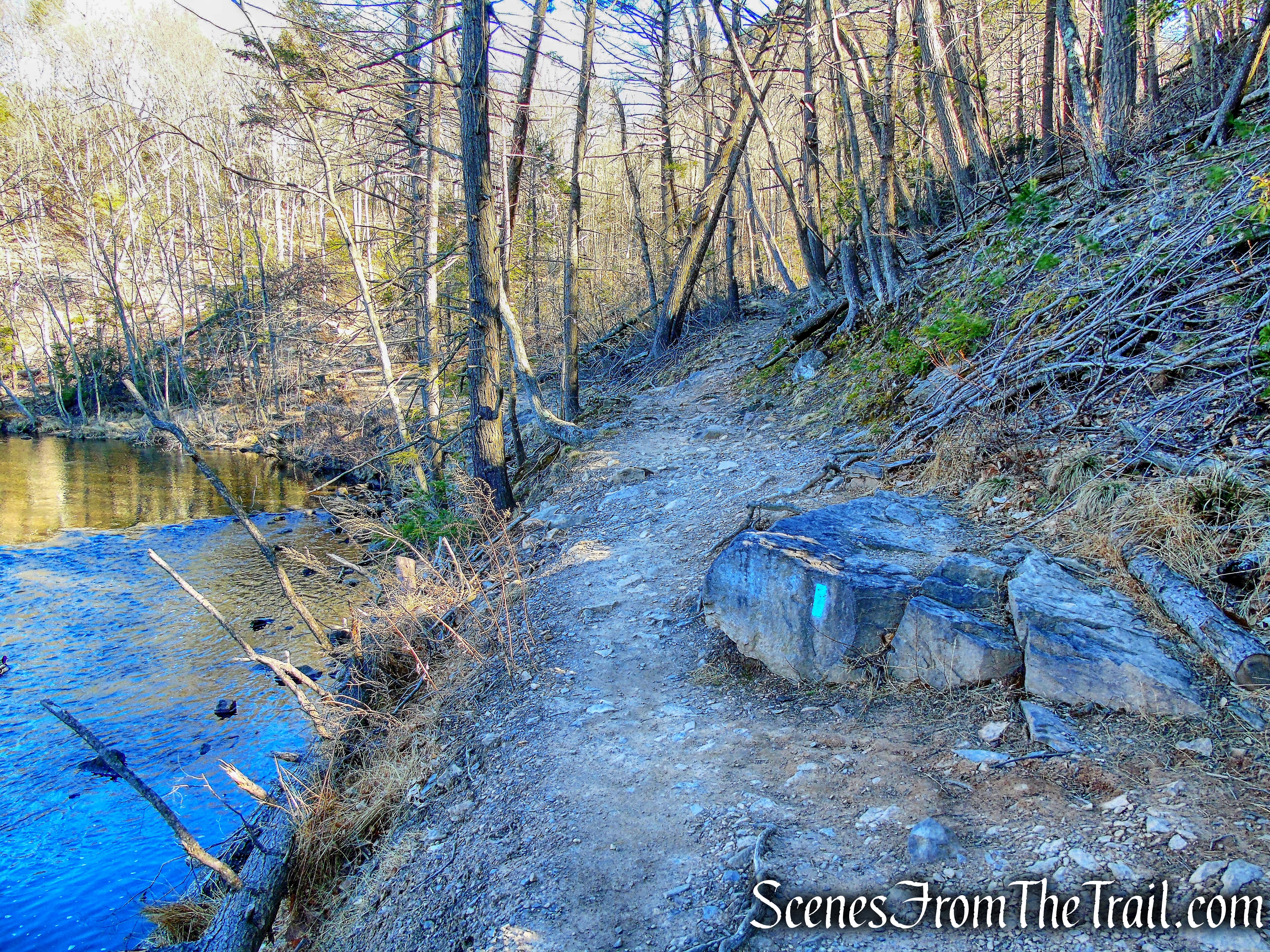 Quinnipiac Trail - Sleeping Giant State Park