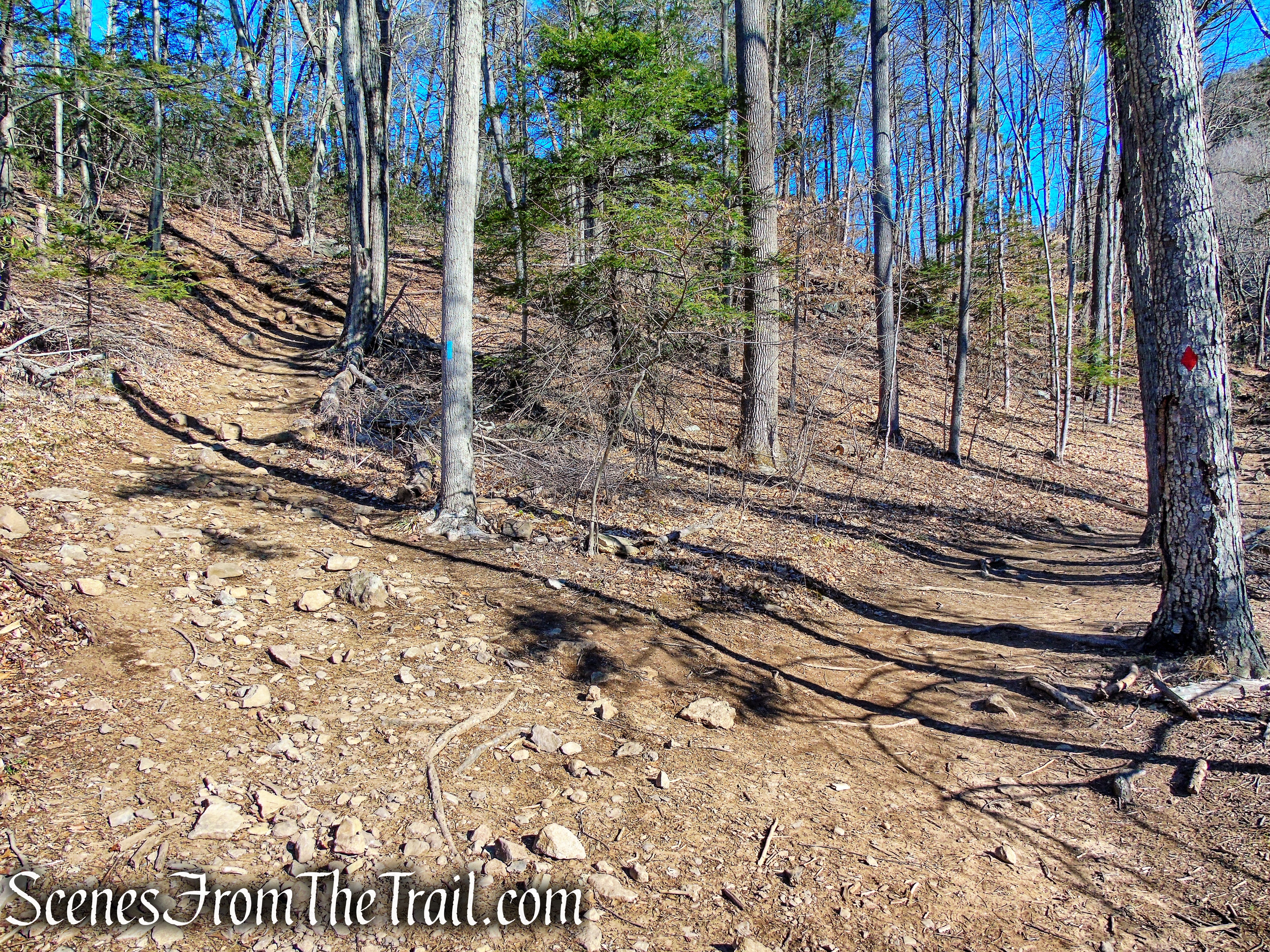 veer left on Quinnipiac Trail