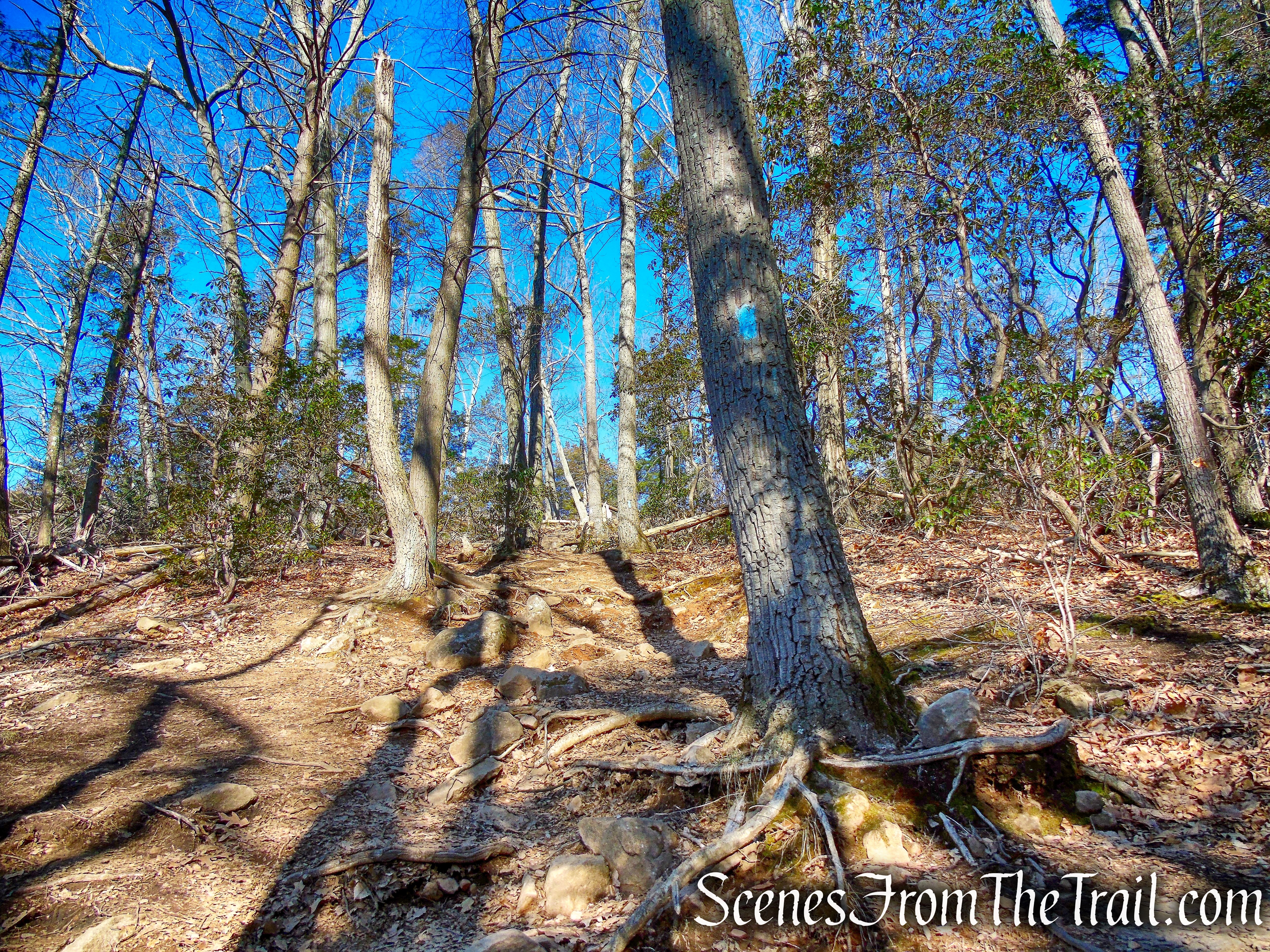 Quinnipiac Trail - Sleeping Giant State Park