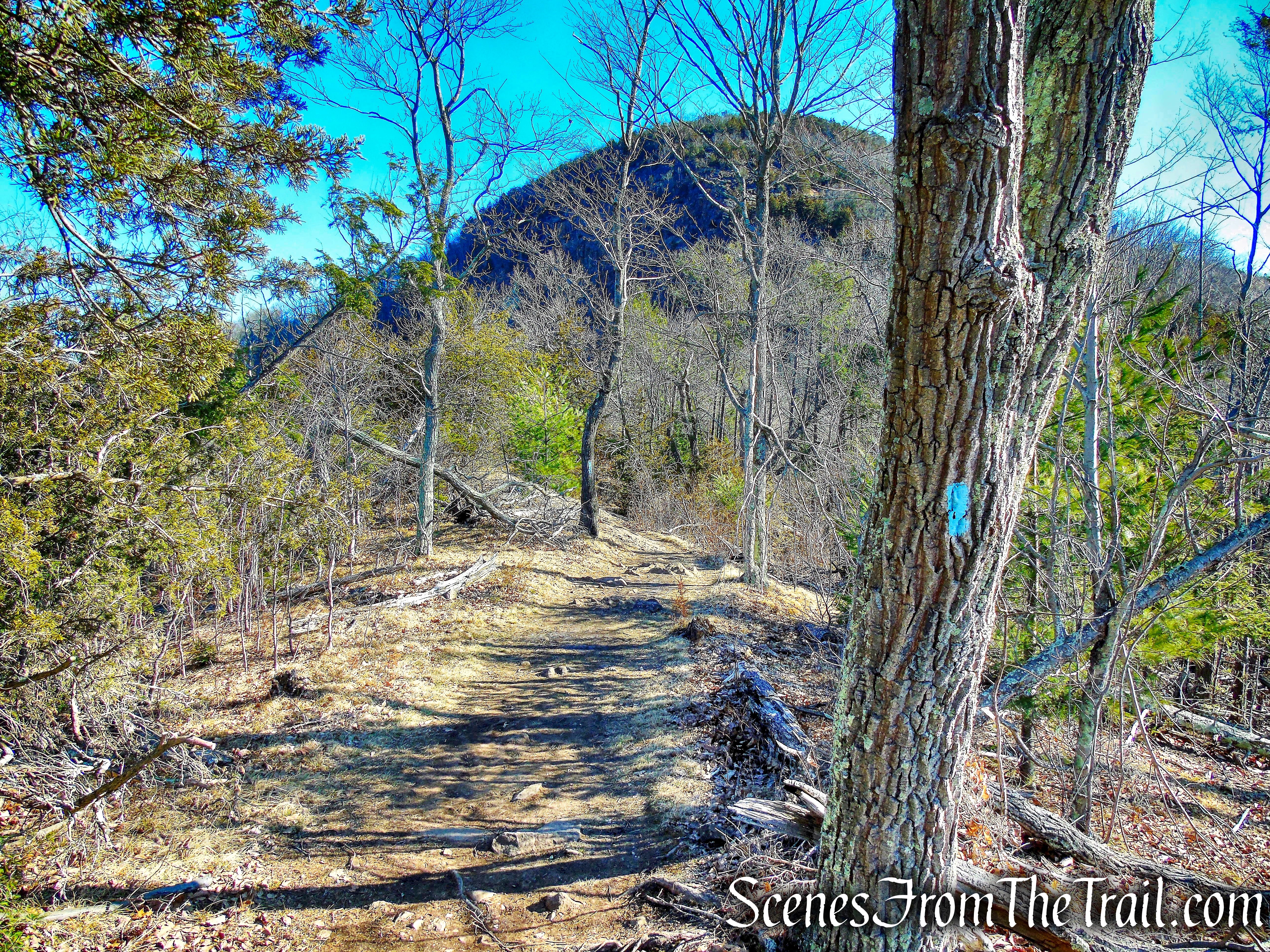 Quinnipiac Trail - Sleeping Giant State Park