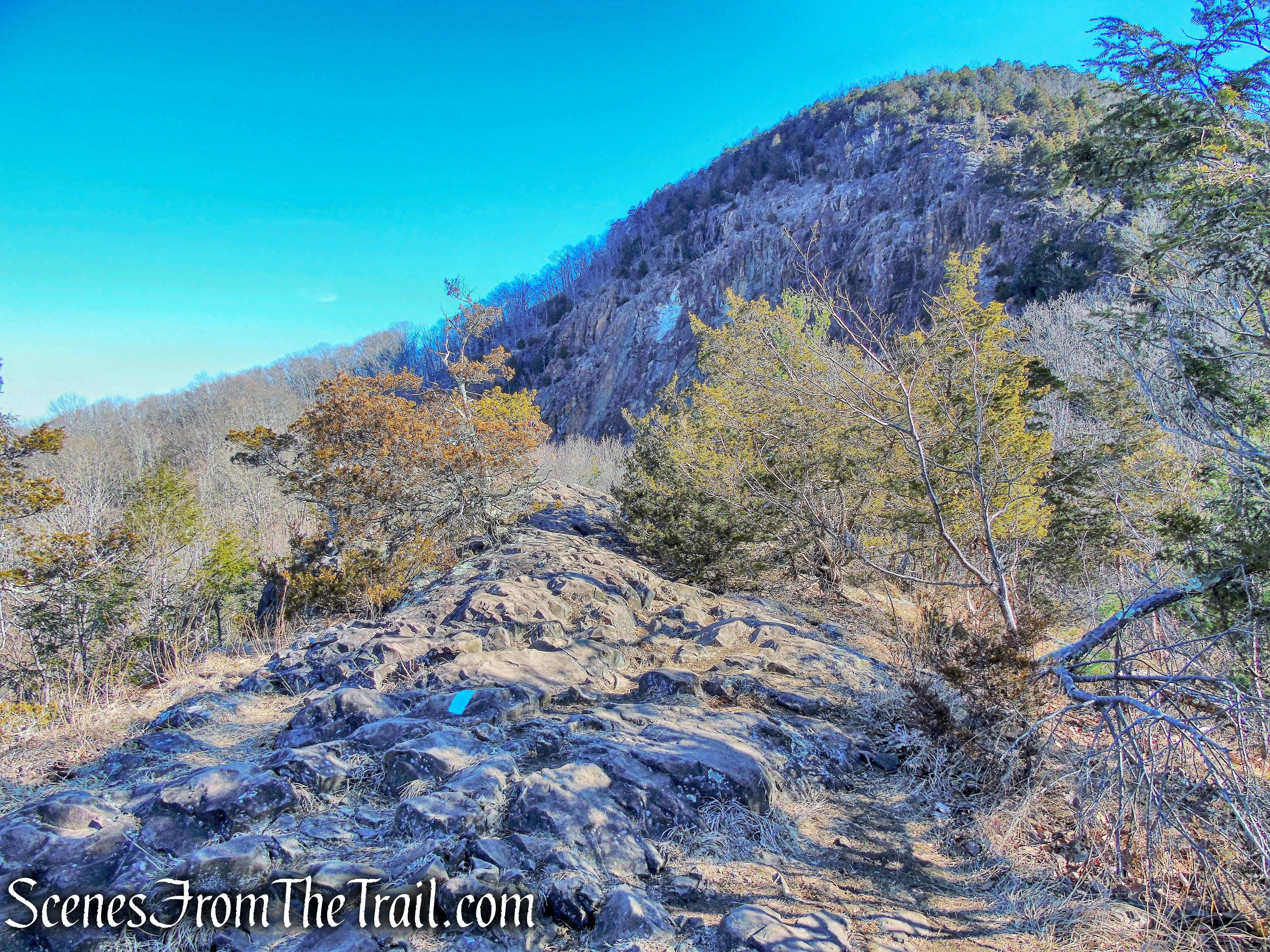 Quinnipiac Trail - Sleeping Giant State Park