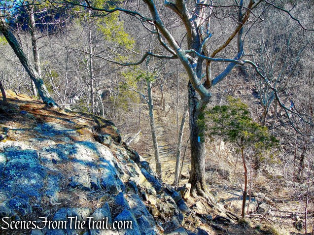 Quinnipiac Trail - Sleeping Giant State Park