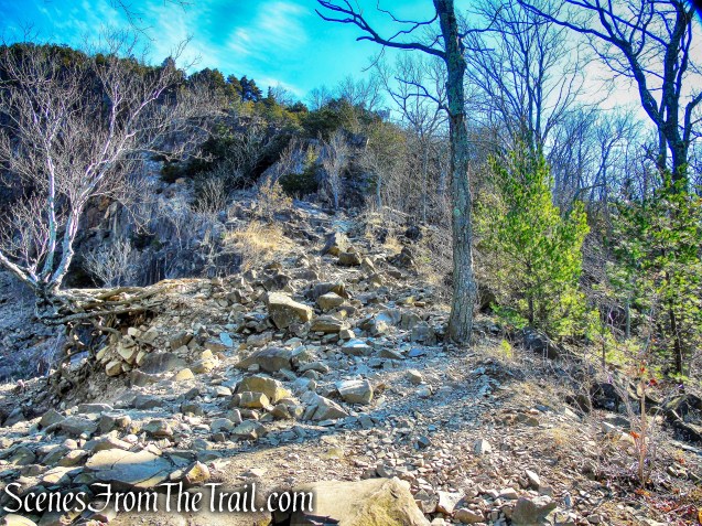 Quinnipiac Trail - Sleeping Giant State Park