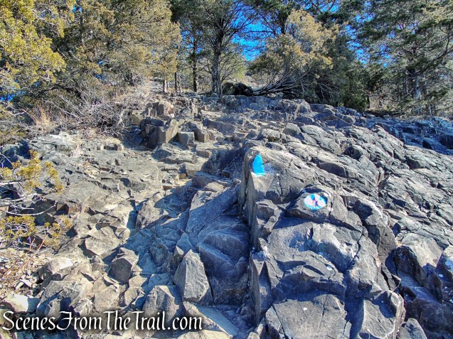 Quinnipiac Trail - Sleeping Giant State Park