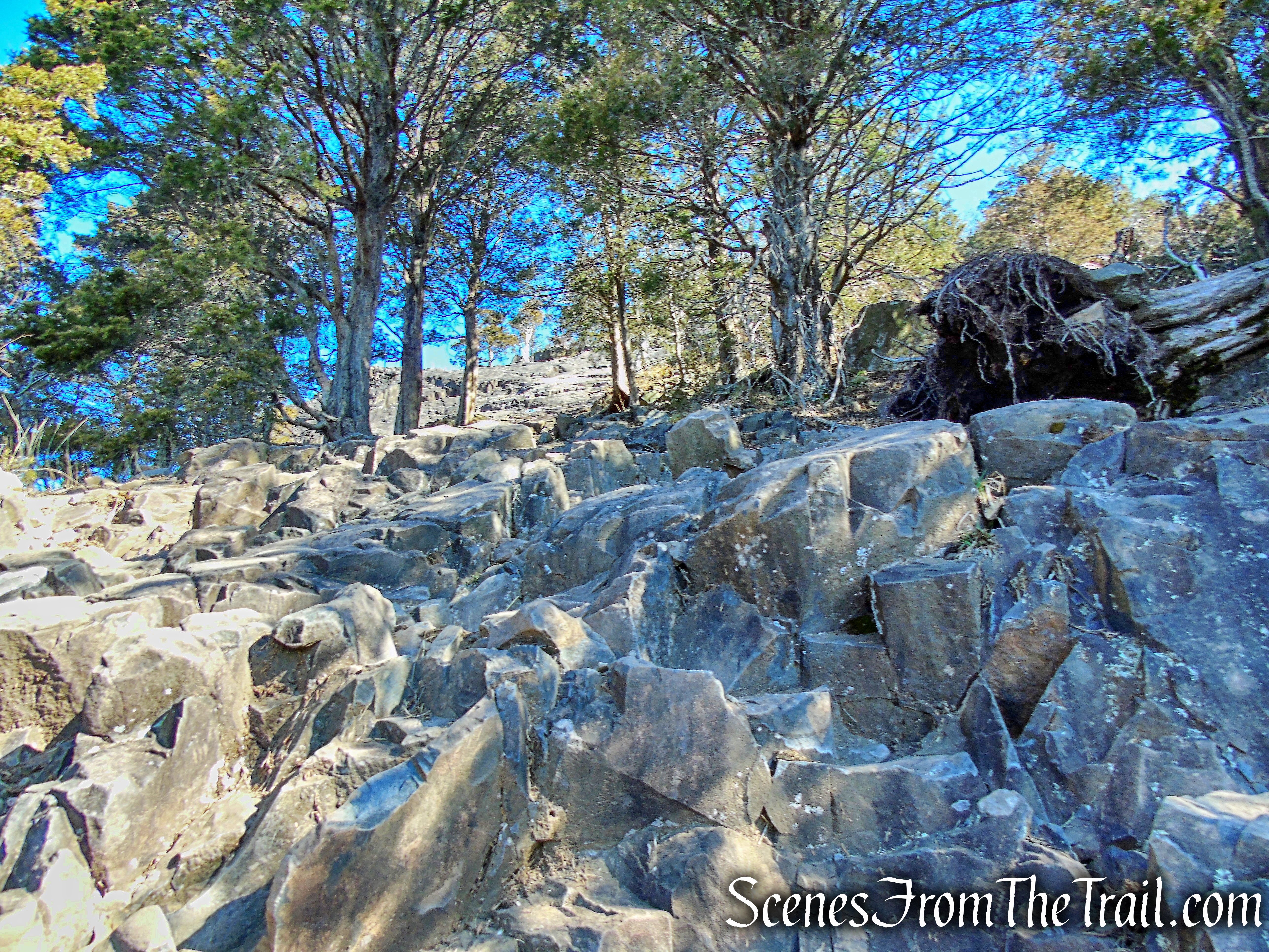 Quinnipiac Trail - Sleeping Giant State Park