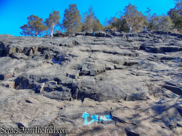 Quinnipiac Trail - Sleeping Giant State Park