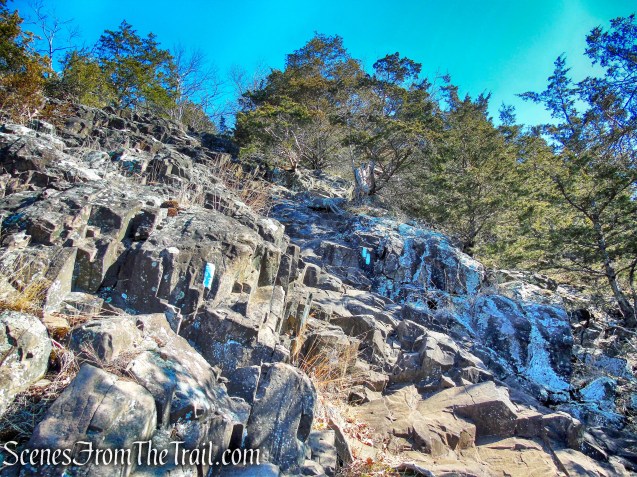 Quinnipiac Trail - Sleeping Giant State Park