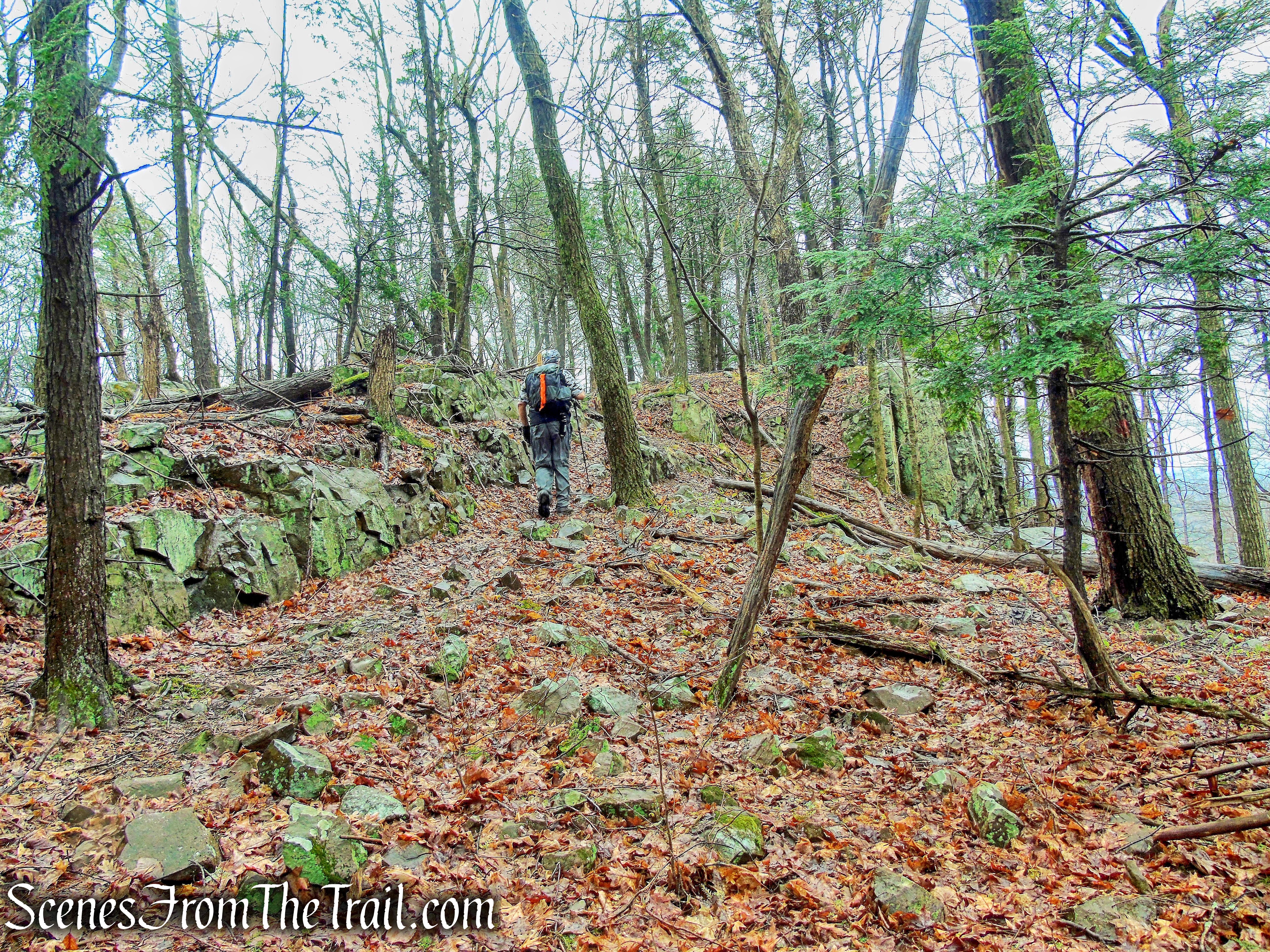 Red Trail - South Mountain