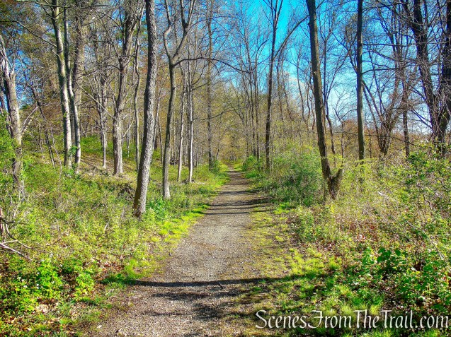 Forested Loop Trail - FDR State Park