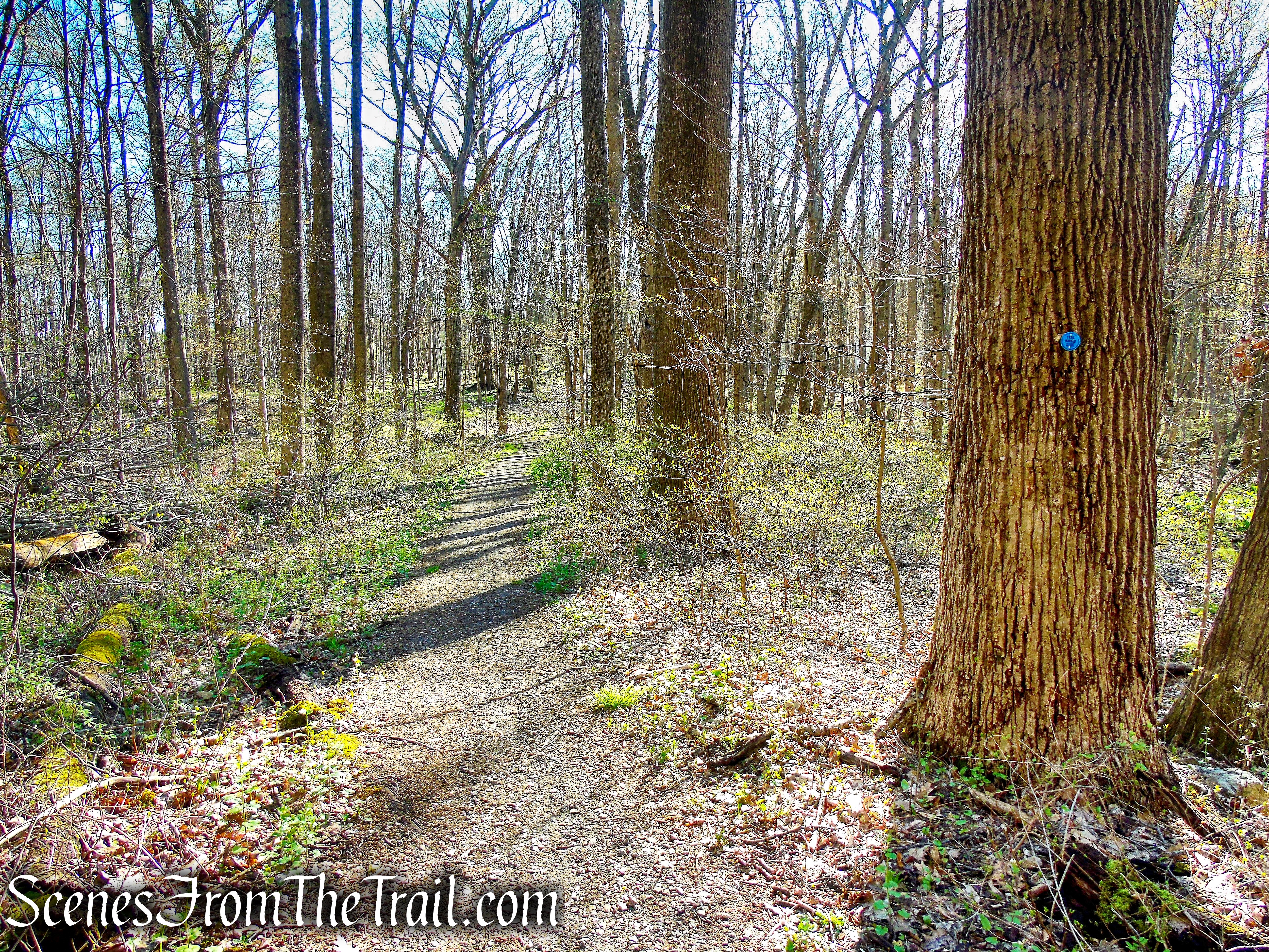 Crom Pond Trail - FDR State Park
