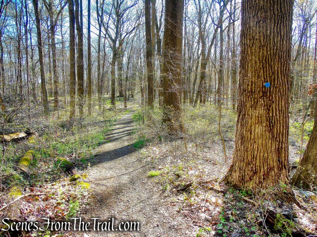 Crom Pond Trail - FDR State Park