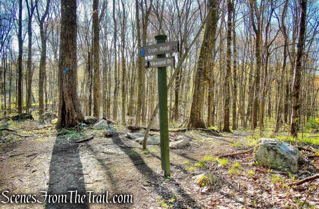 Crom Pond Trail - FDR State Park
