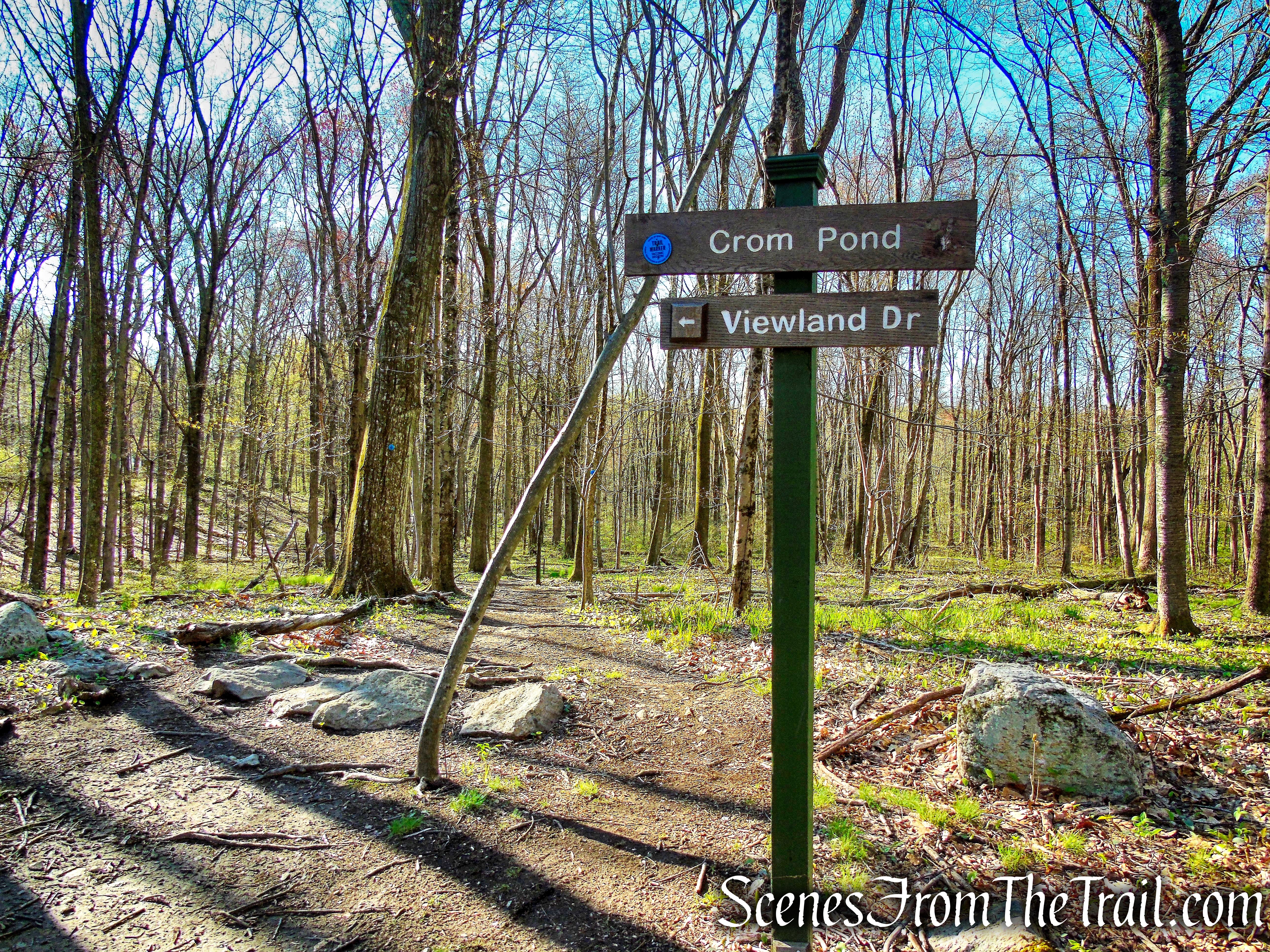 Crom Pond Trail - FDR State Park