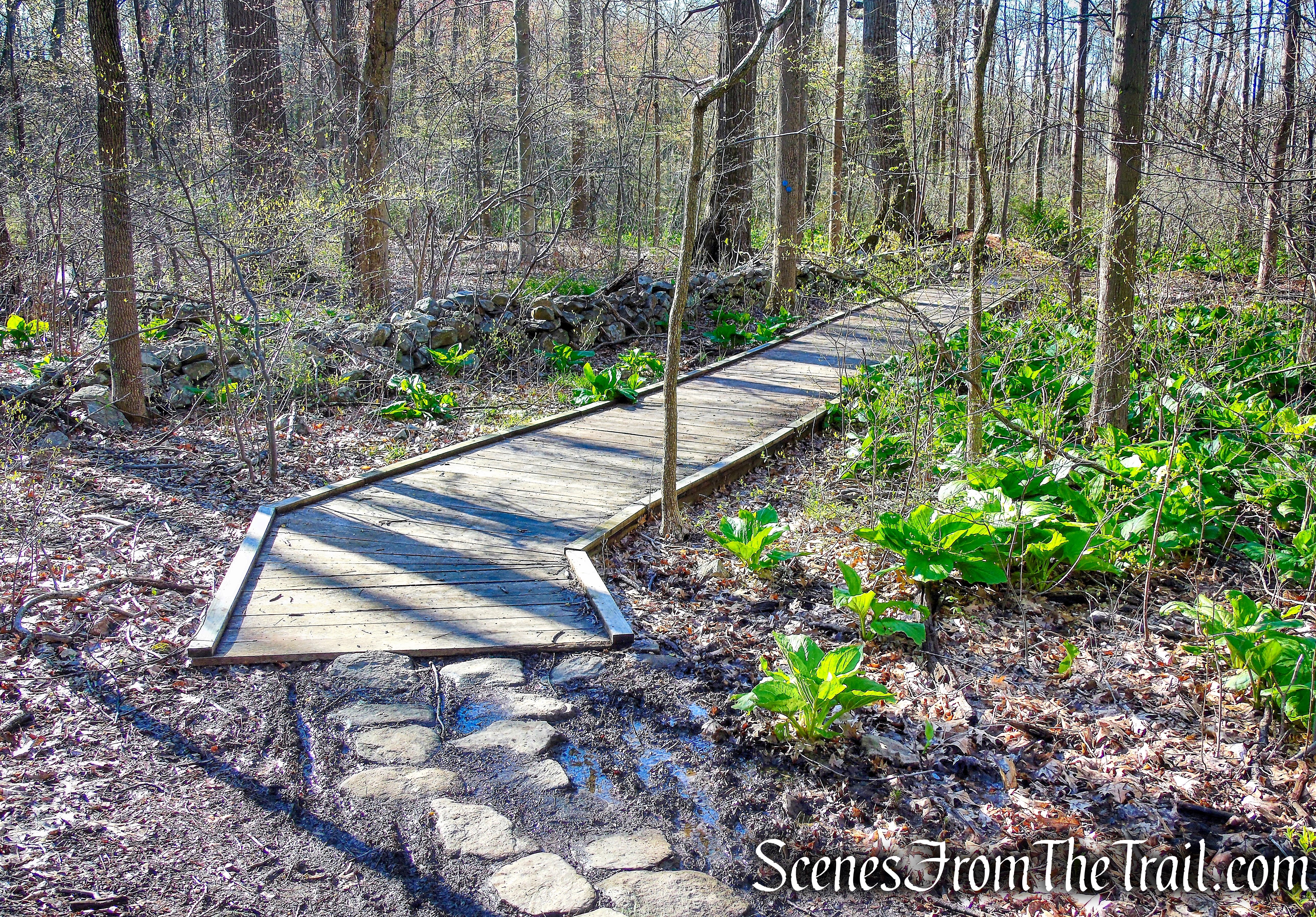 Crom Pond Trail - FDR State Park