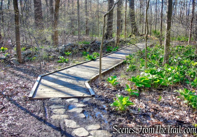 Crom Pond Trail - FDR State Park
