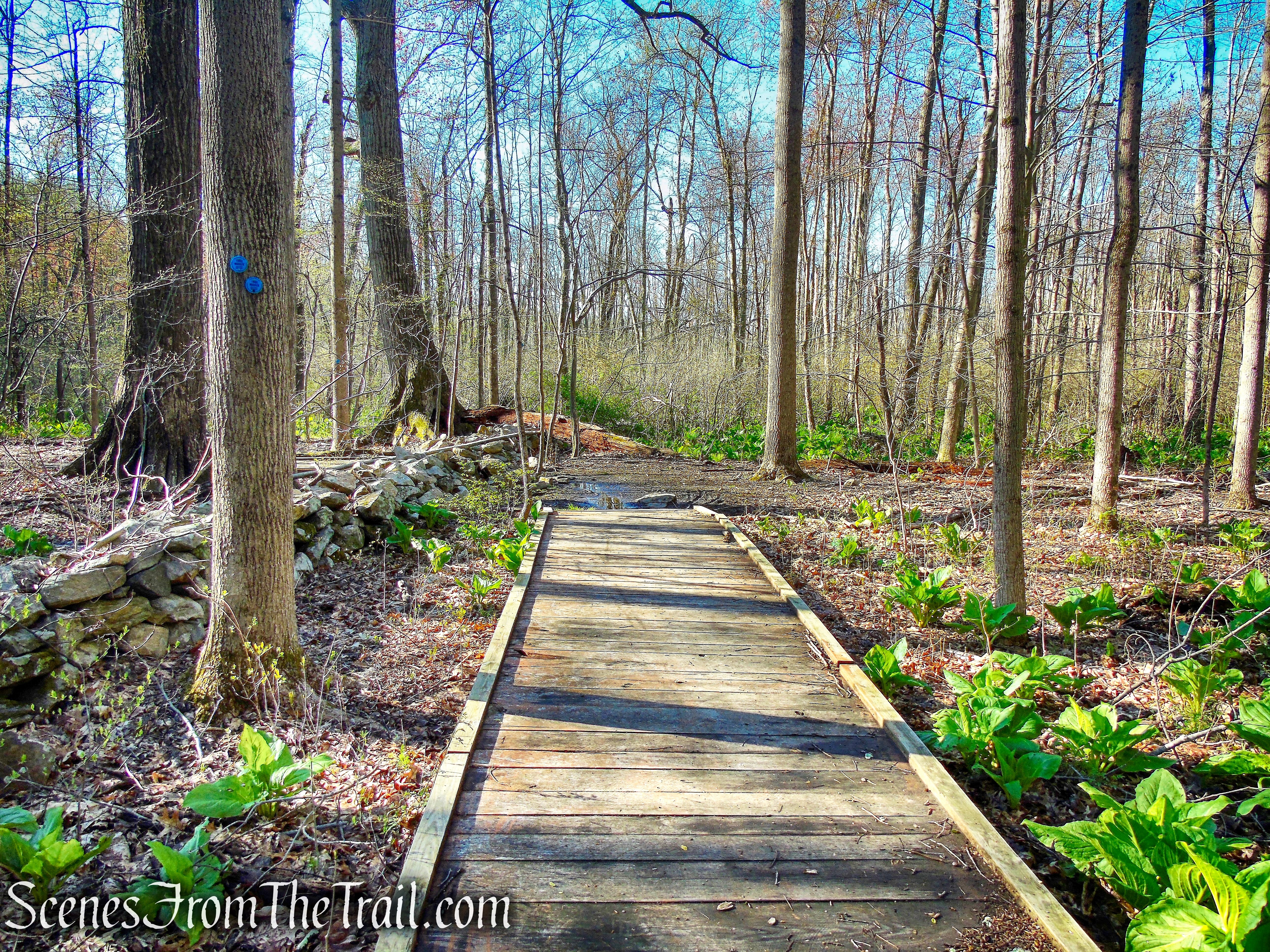 Crom Pond Trail - FDR State Park