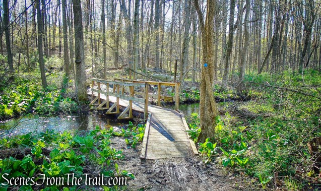 Crom Pond Trail - FDR State Park
