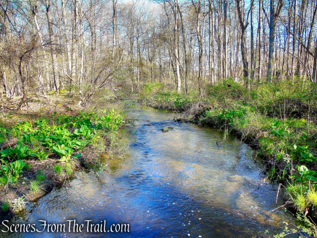 inlet stream - Crom Pond Trail