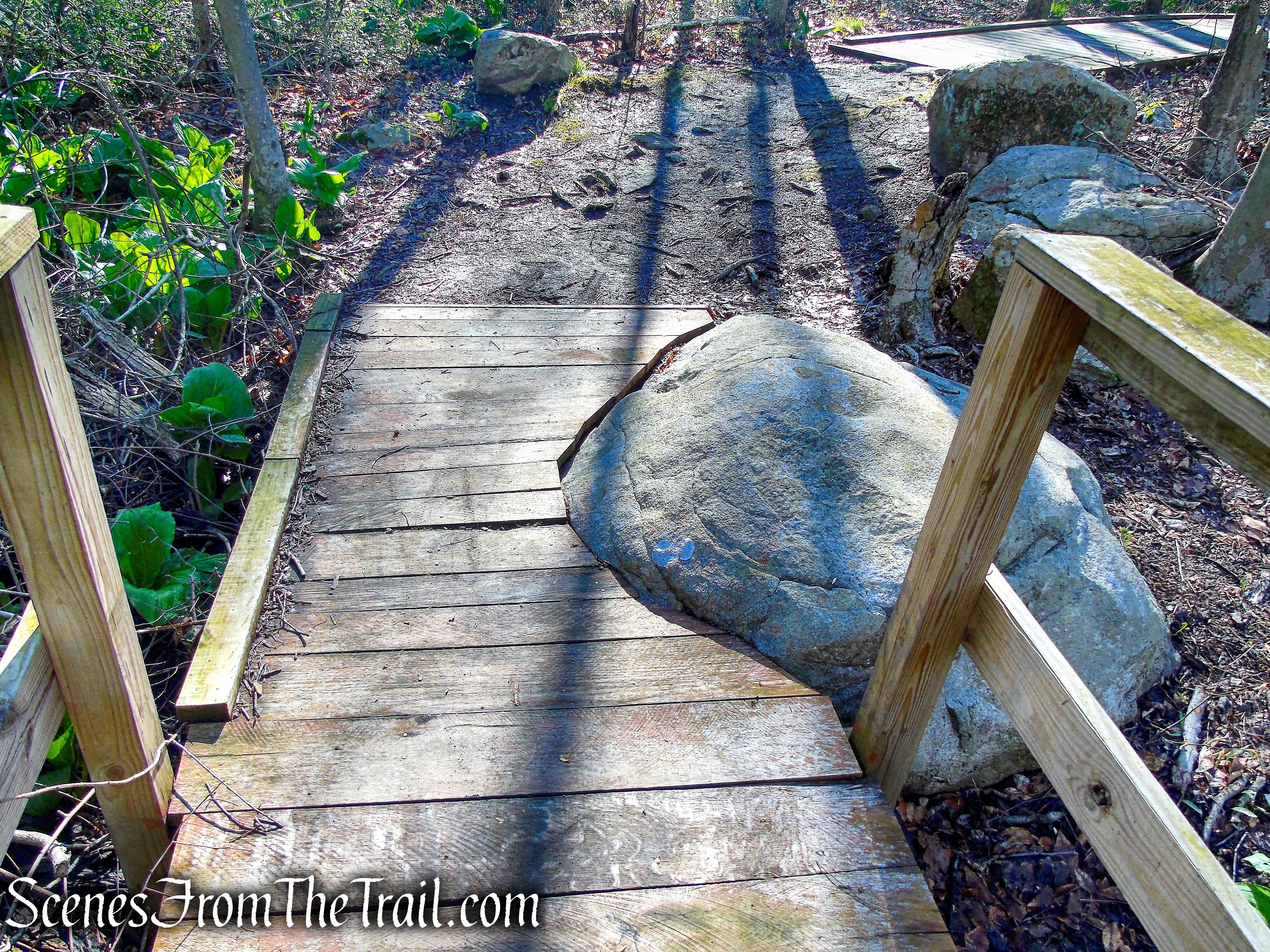 Crom Pond Trail - FDR State Park