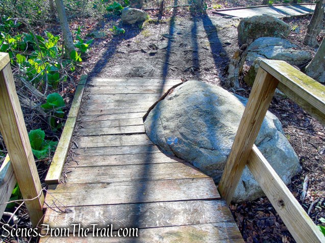 Crom Pond Trail - FDR State Park