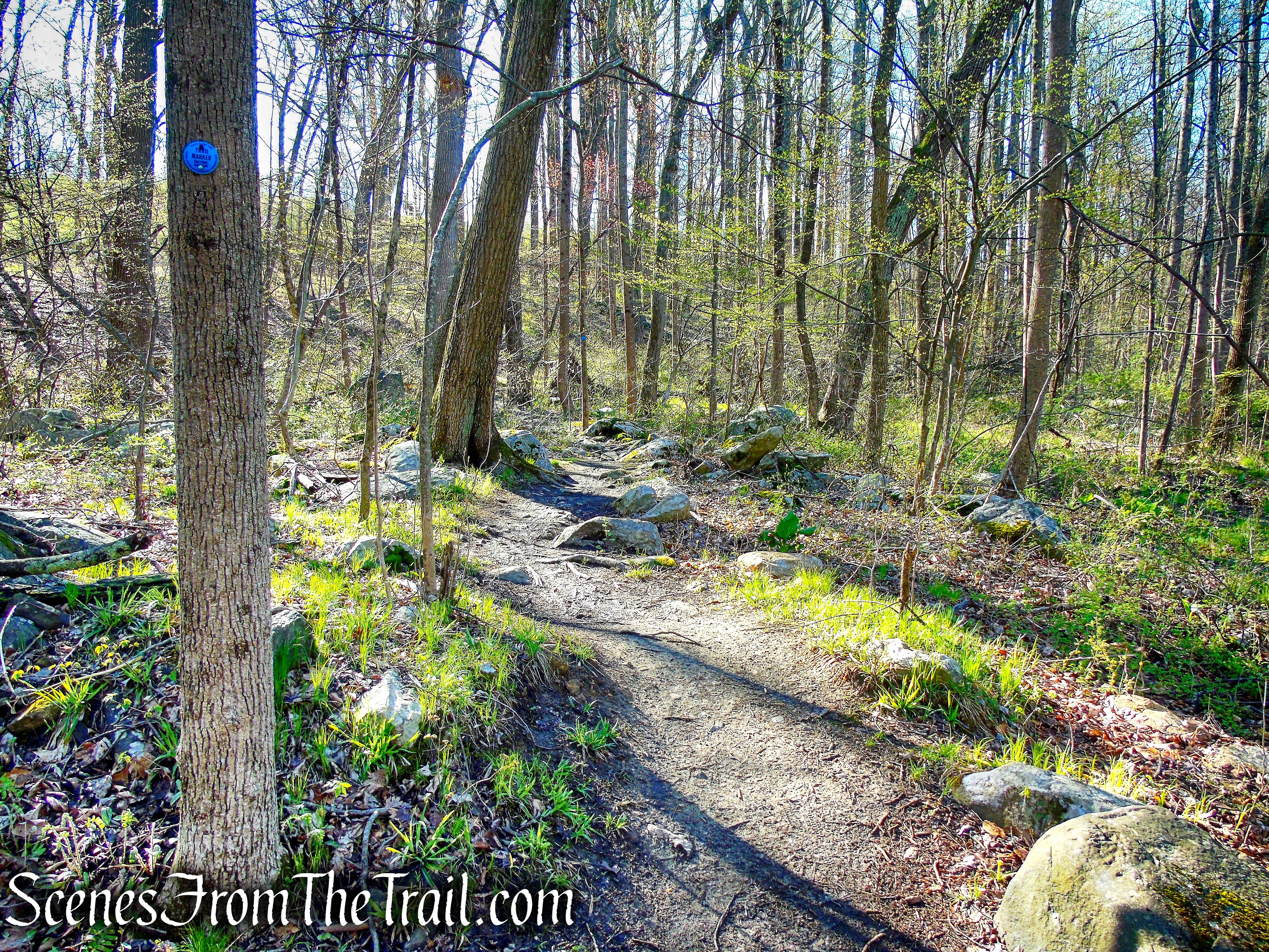 Crom Pond Trail - FDR State Park
