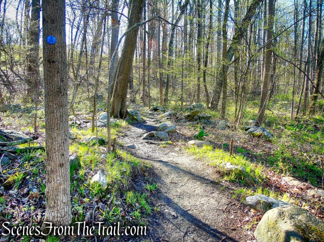 Crom Pond Trail - FDR State Park