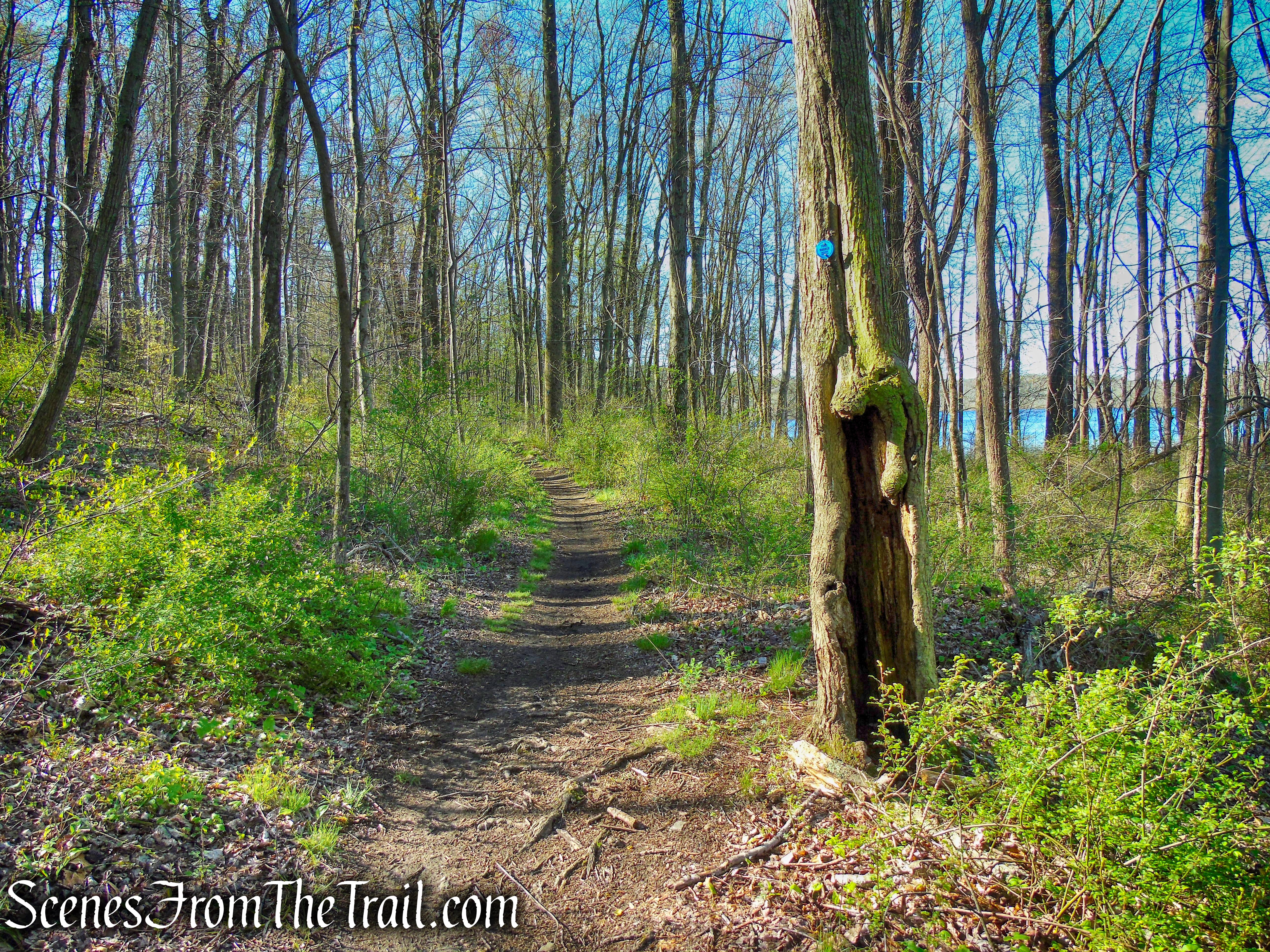Crom Pond Trail - FDR State Park