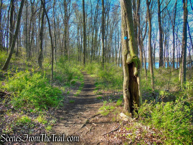 Crom Pond Trail - FDR State Park