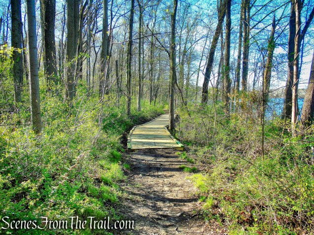 Crom Pond Trail - FDR State Park