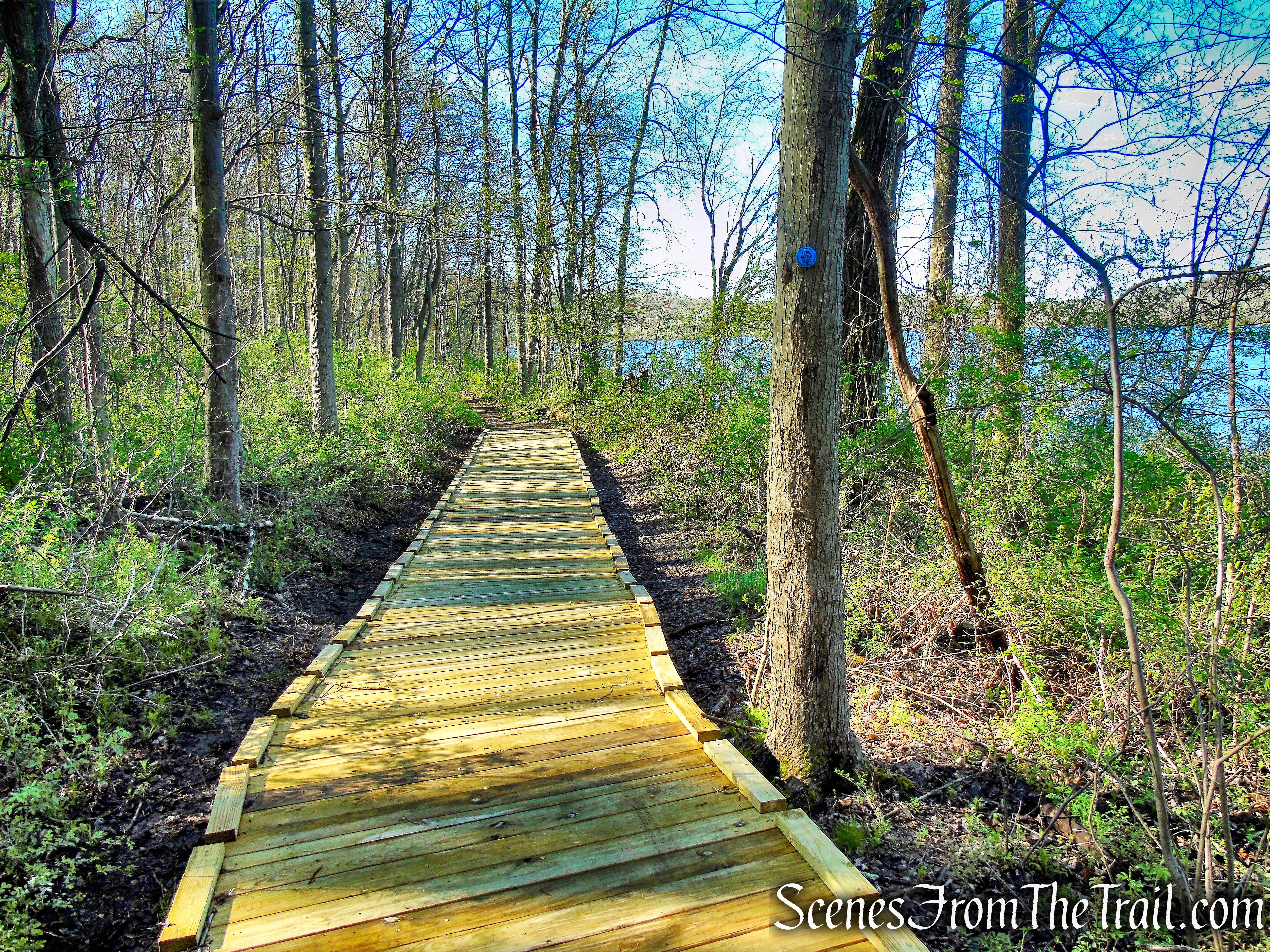 Crom Pond Trail - FDR State Park