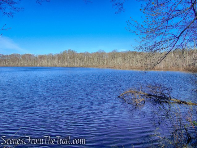 Crom Pond - FDR State Park