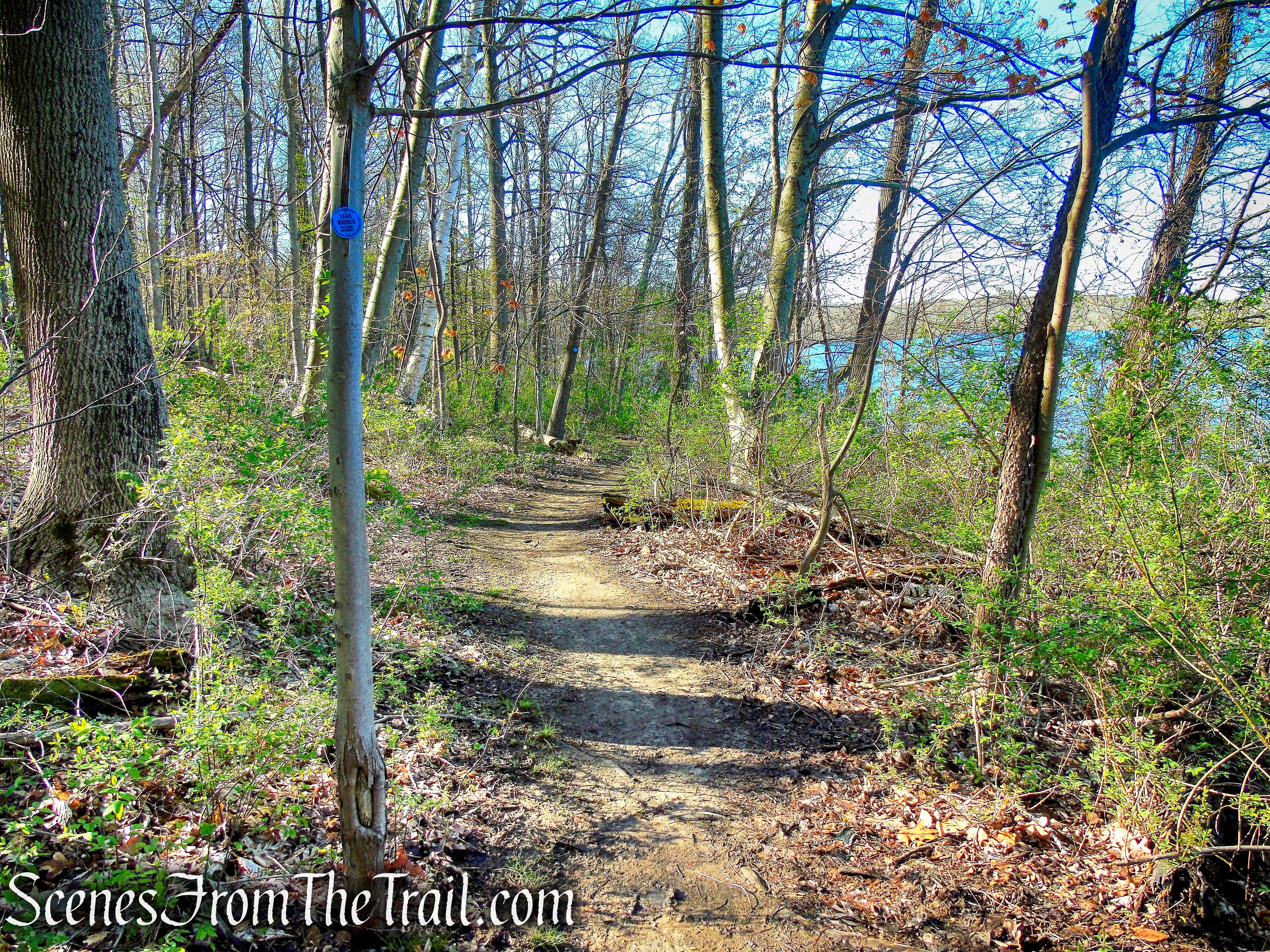 Crom Pond Trail - FDR State Park