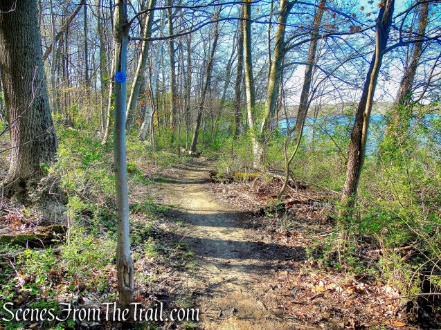 Crom Pond Trail - FDR State Park