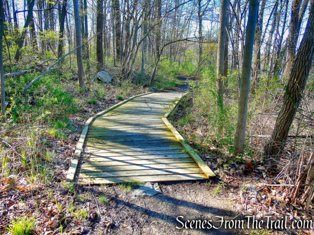Crom Pond Trail - FDR State Park
