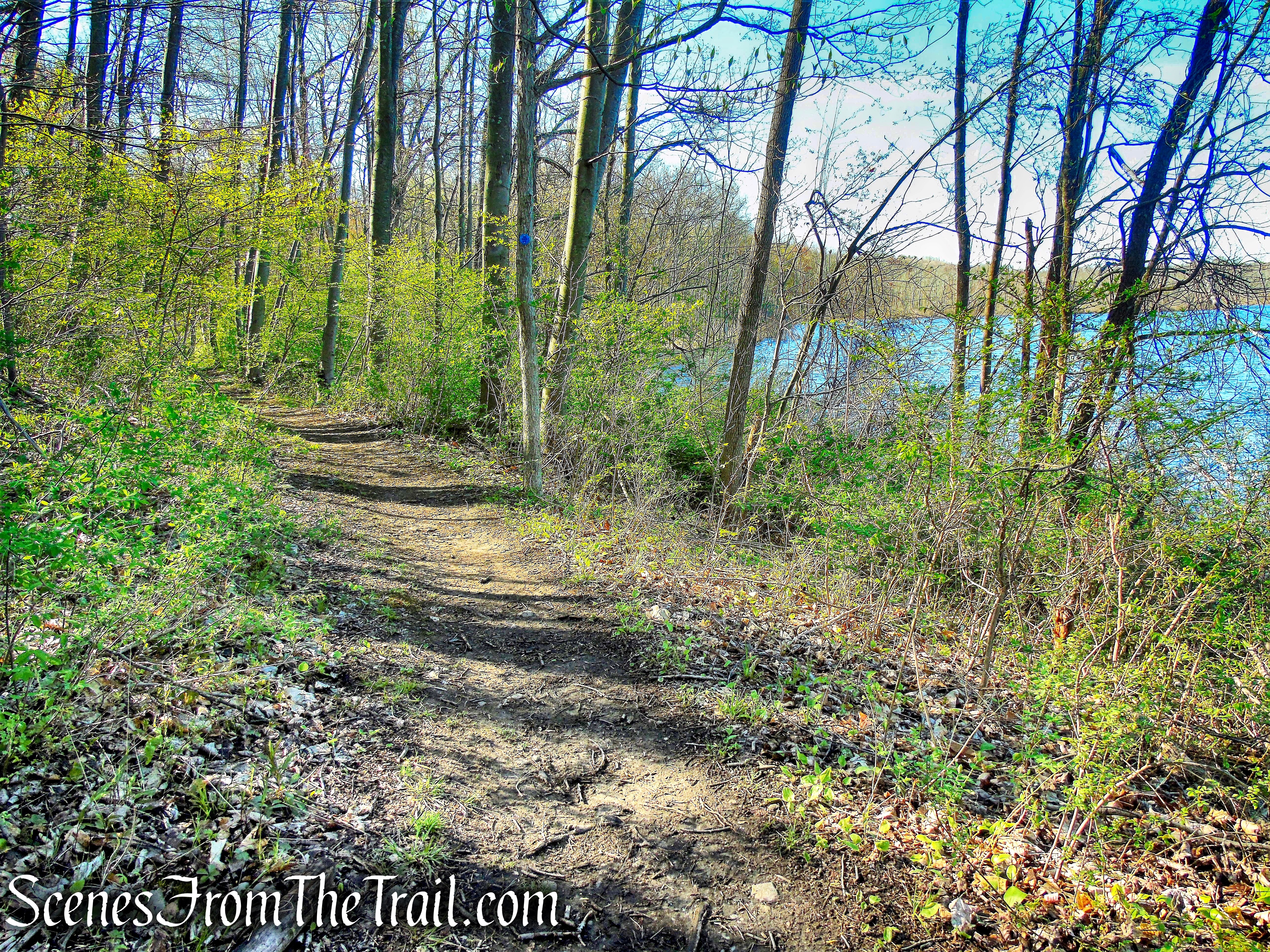 Crom Pond Trail - FDR State Park