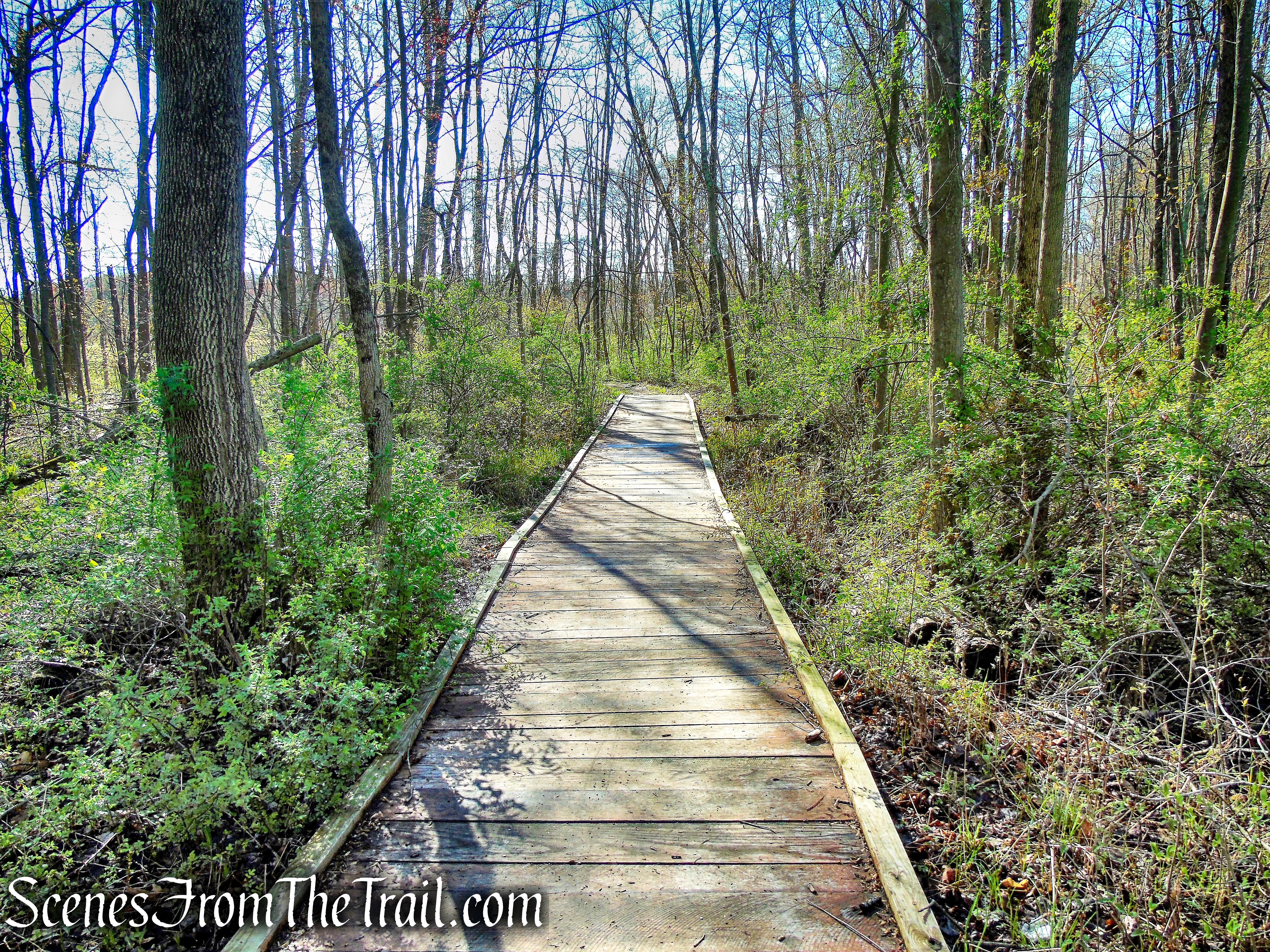 Crom Pond Trail - FDR State Park