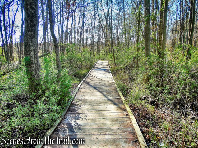 Crom Pond Trail - FDR State Park