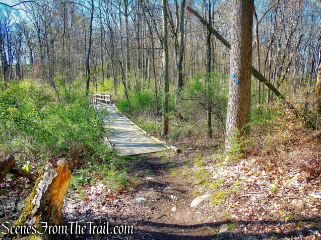 Crom Pond Trail - FDR State Park
