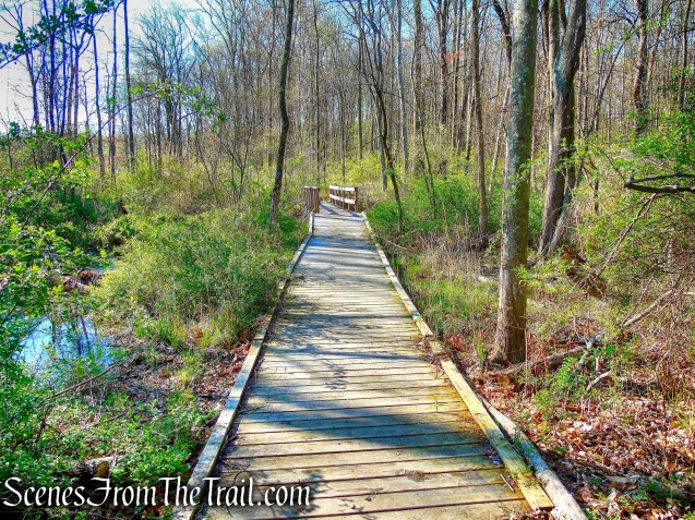 Crom Pond Trail - FDR State Park